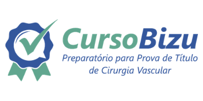 cursobizu
